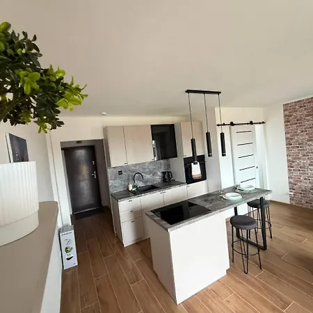 Homely By Bookinghost Apartment Czestochowa